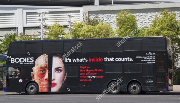 Tourist Bus Advertisement Design