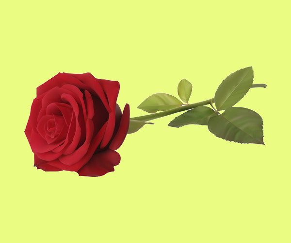 VIctorian Red Love Rose Illustration