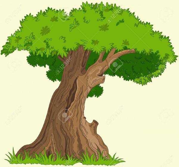 illustrations of trees to download