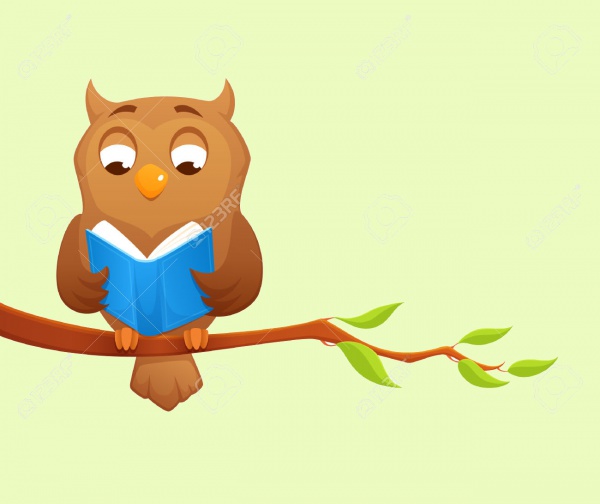 Wise Owl Reading Vector