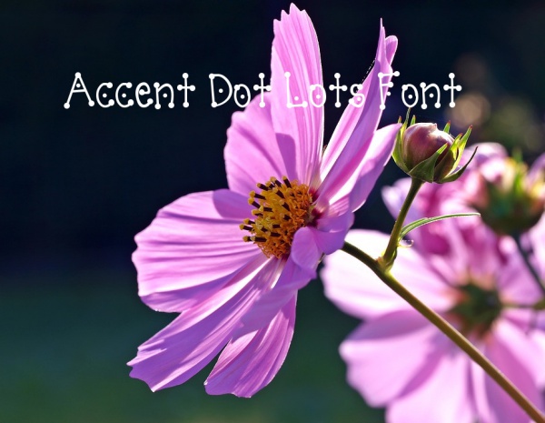 Accent Dot Lots Font