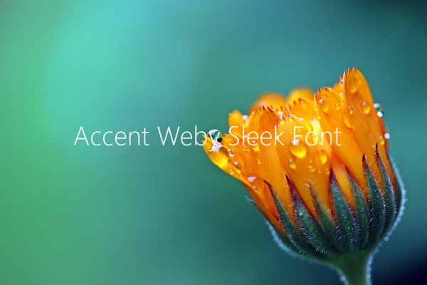 Accent Weby Sleek Font