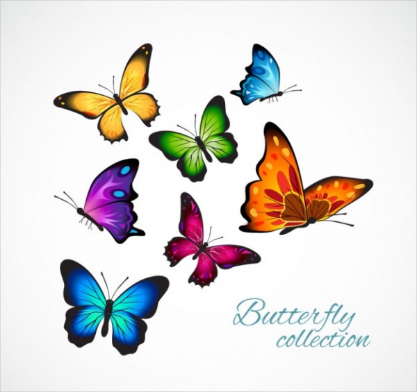 Free Butterfly Vector Art