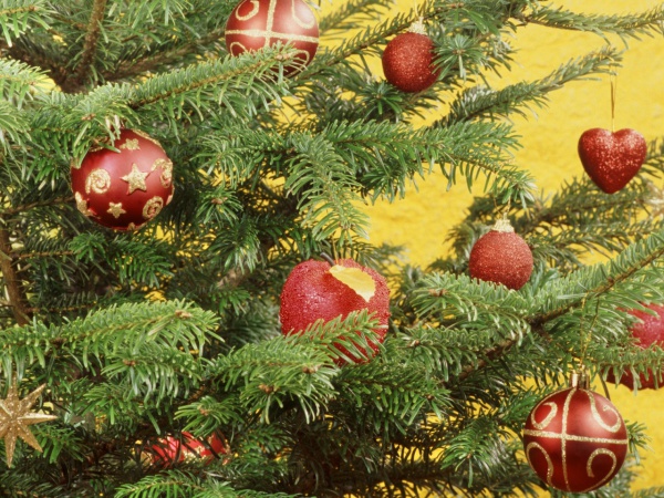Free Christmas Wallpaper for iPhone
