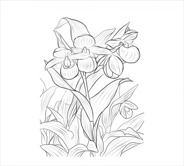 free-flower-coloring-page