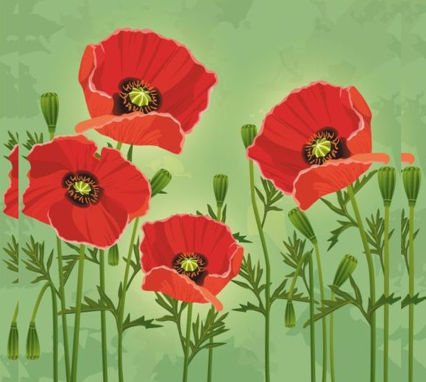 Free Flower Vectors