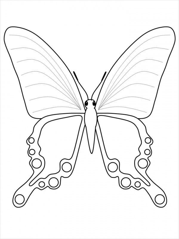 free-printable-butterfly-coloring-page