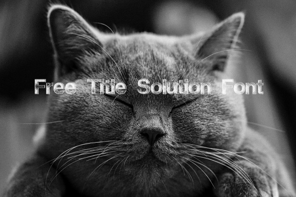 Free Title Solution Font
