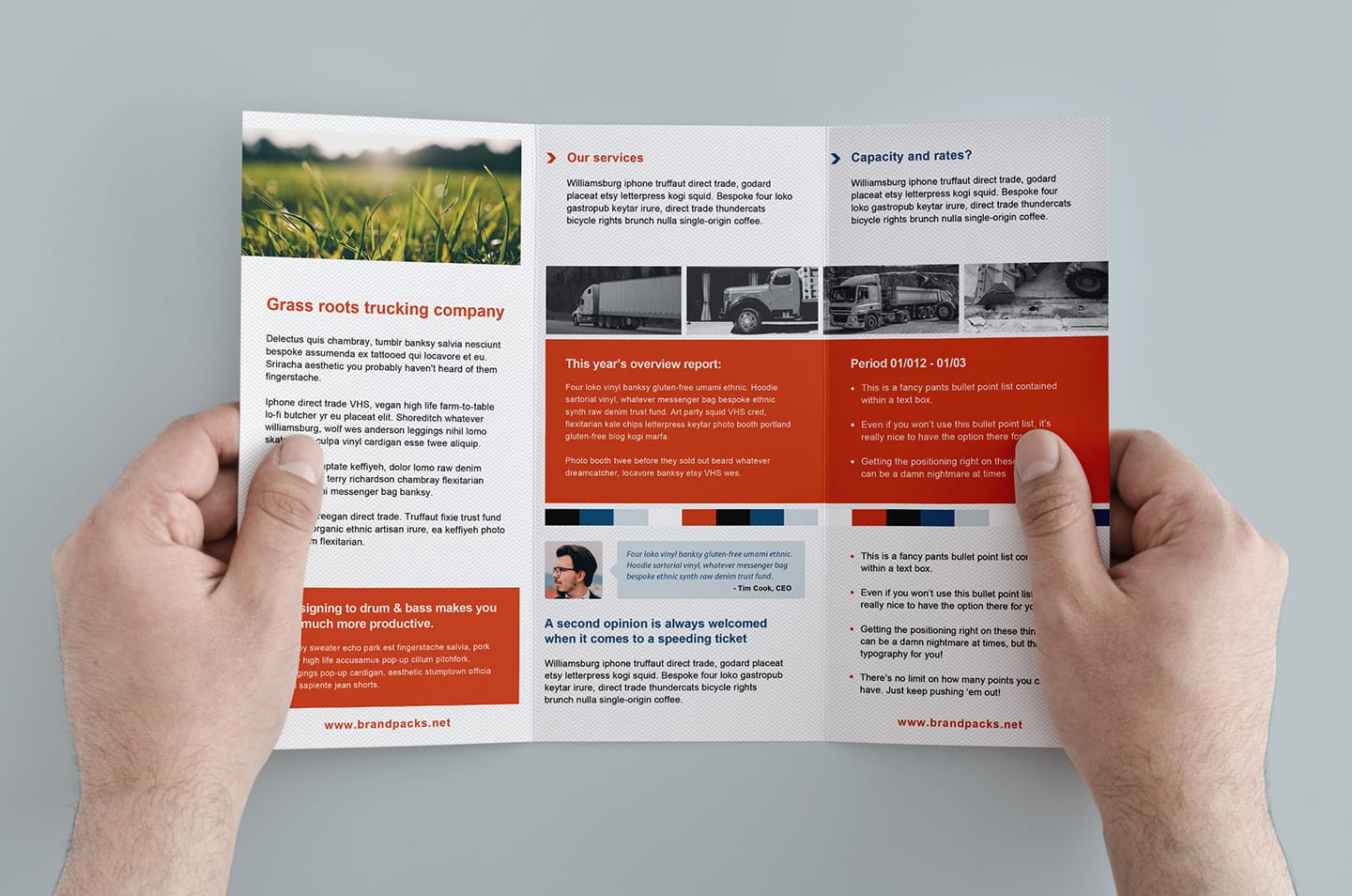 Free Tri Fold Brochure Template