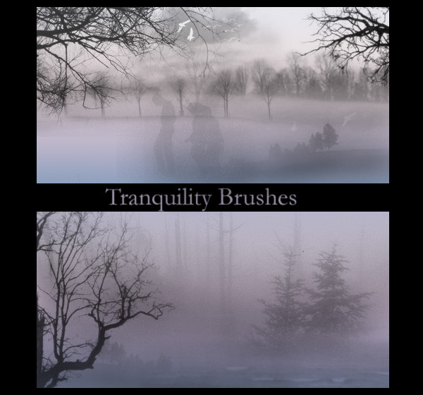 Tranquility Brushes For You