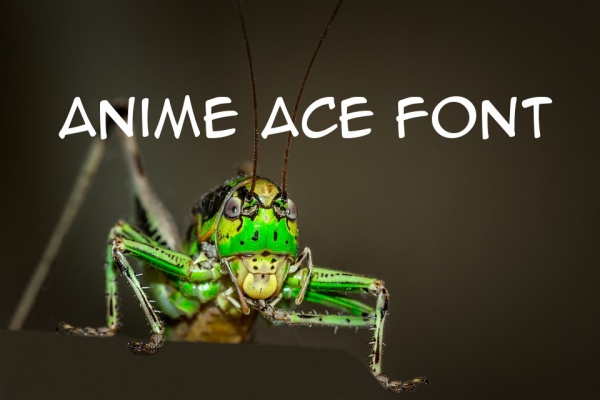 Anime Ace Font Family