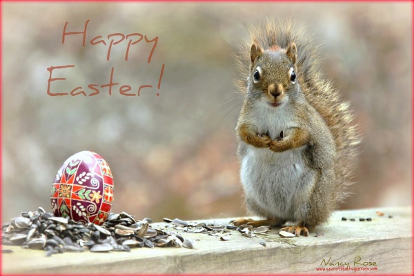 Awesome Happy Easter Image