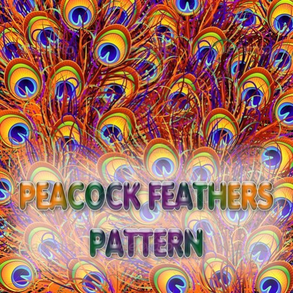 Beautiful Colorful Feathers Pattern