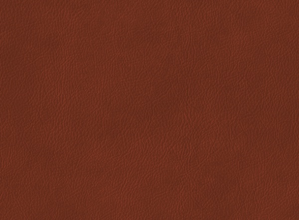 Brown Colored Leather Texture