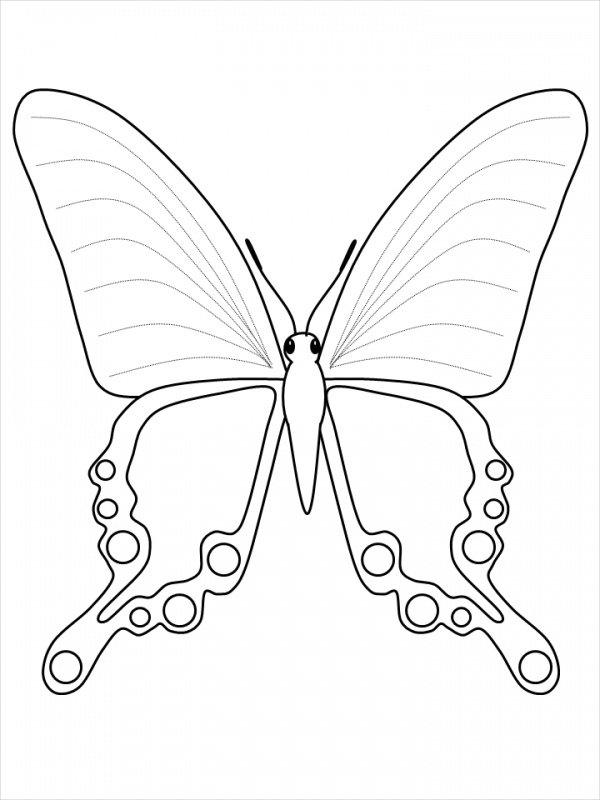 Butterfly Coloring Page for Kids