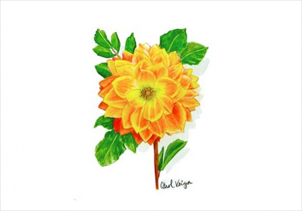 Colorful Flower Drawings