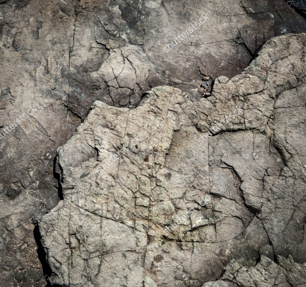 Cracked Stone Texture
