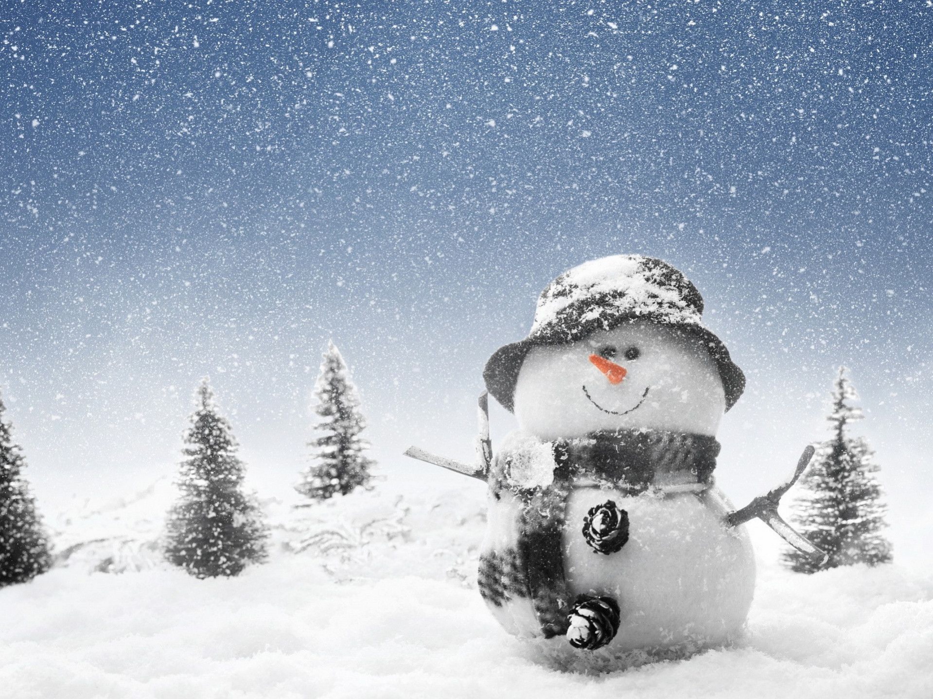 Free Funny Winter Wallpaper