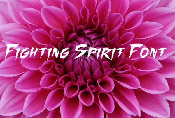 Fighting Spirit Font Family