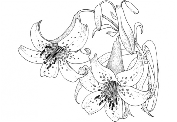 Flower Coloring Pages for Adults