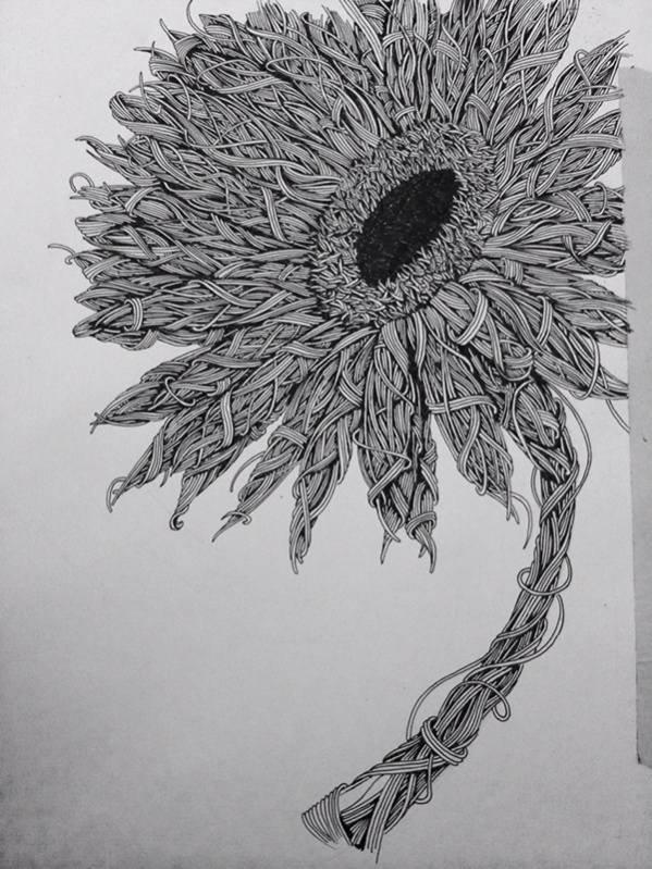 Flower Pen Drawings