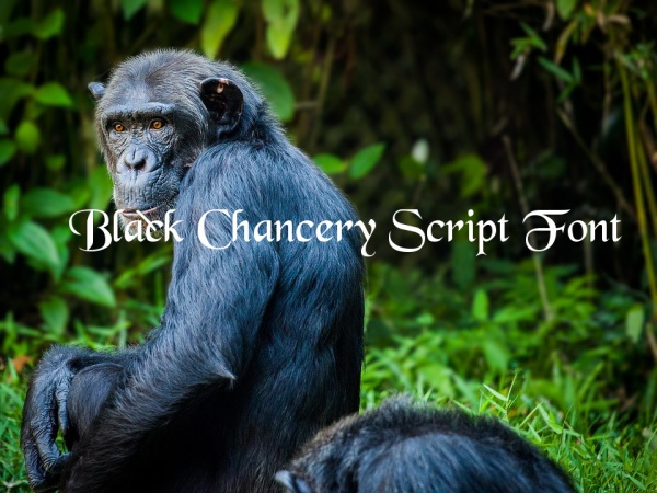 Free Black Chancery Script Font