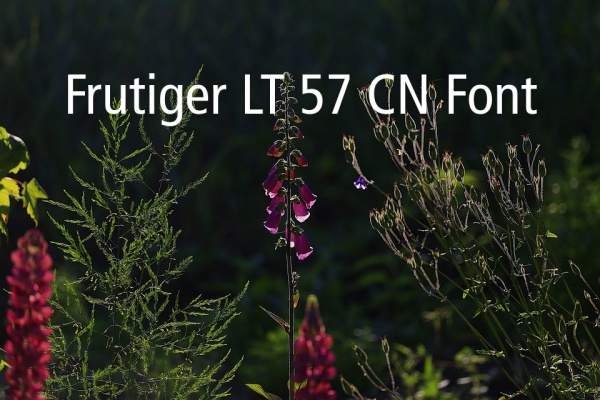 Free Frutiger LT 57 CN Font