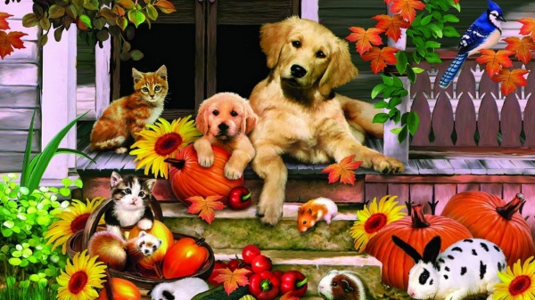 Pin by Annelies France on Fun with animals  Funny thanksgiving images Thanksgiving  wallpaper Thanksgiving pictures