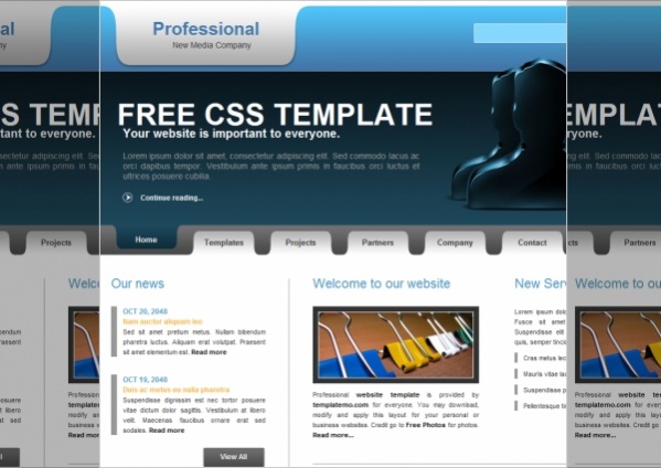 Free Professional Website Template