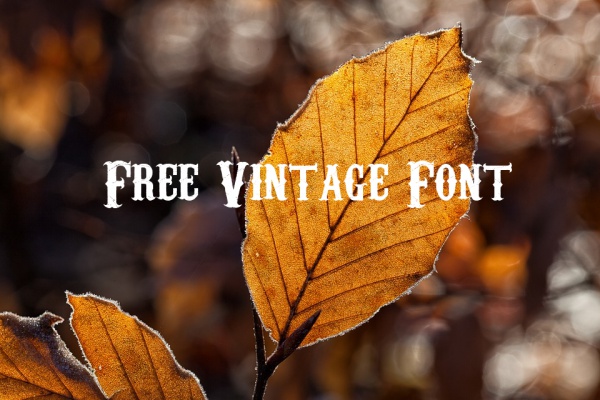 free-vintage-font