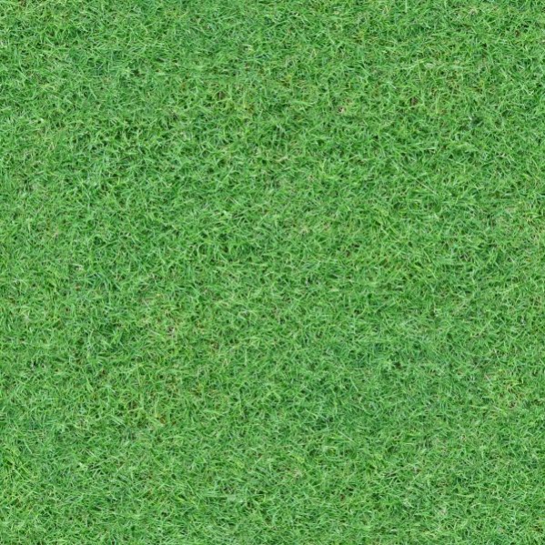 Grass Texture Photoshop