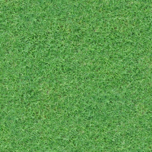 grass texture brush photoshop