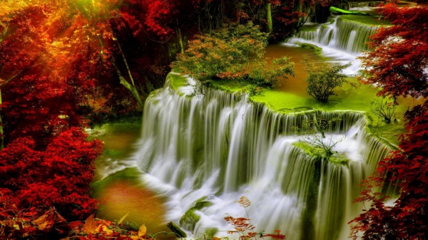 HD Autumn Wallpaper Design