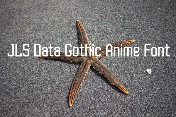 JLS Data Gothic Anime Font