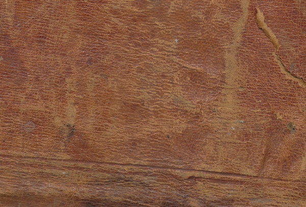 Old Leather Texture