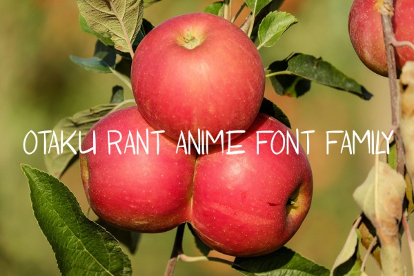 Otaku Rant Anime Font Family