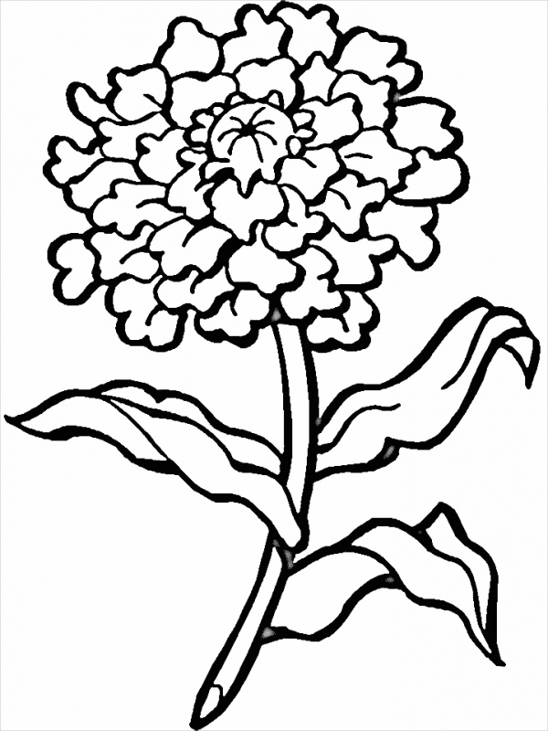 Realistic Flower Coloring Pages