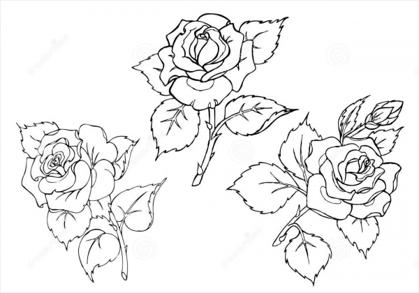 17 Beautiful Flower Drawings Vector EPS JPG Download