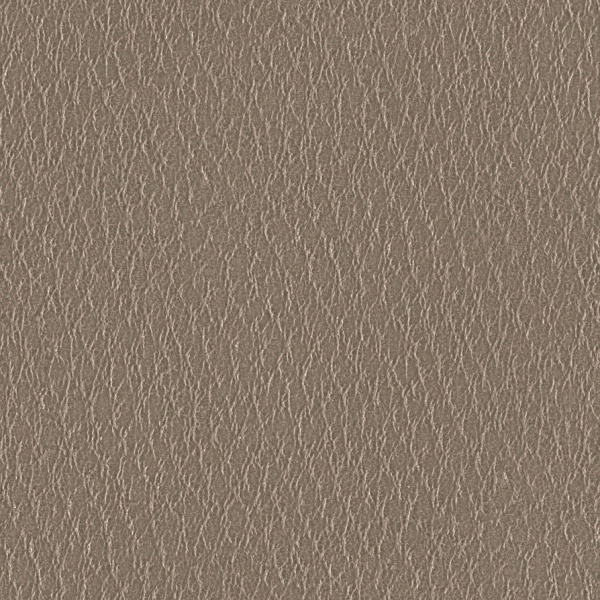 Seamless Leather Texture