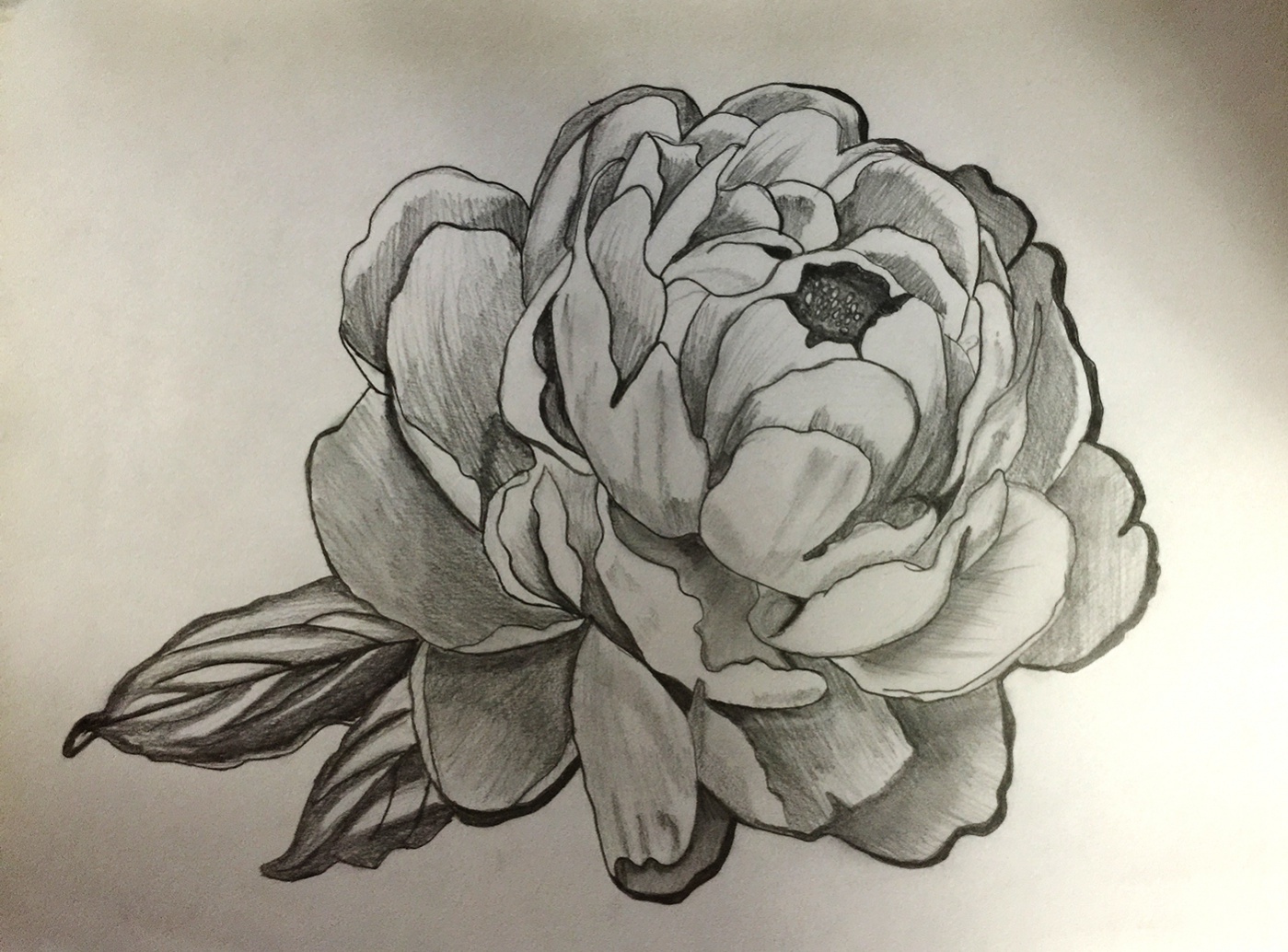 Shaded Flower Drawing