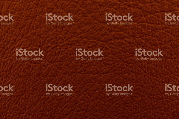 Smooth Leather Texture