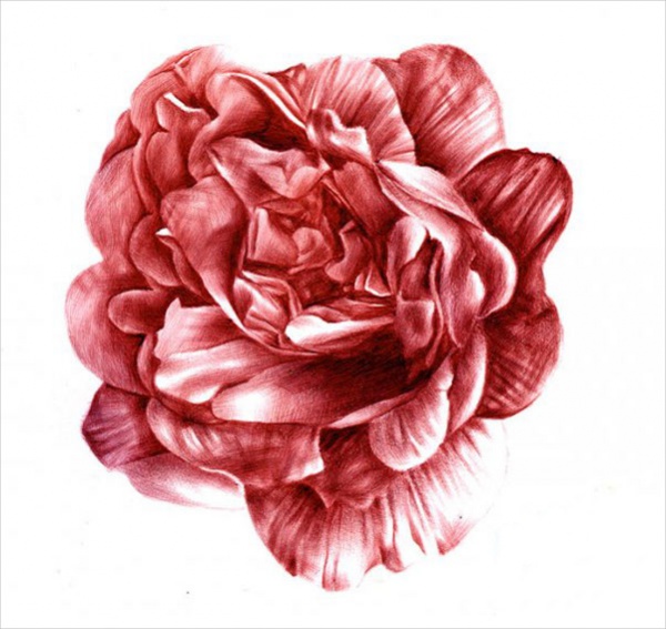 Unique Flower Drawings