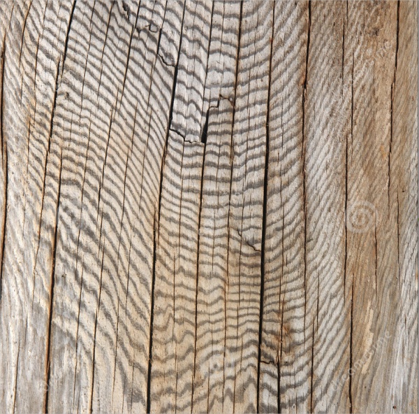Abstract Wood Pattern