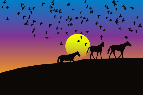 Birds And Horses Silhouette