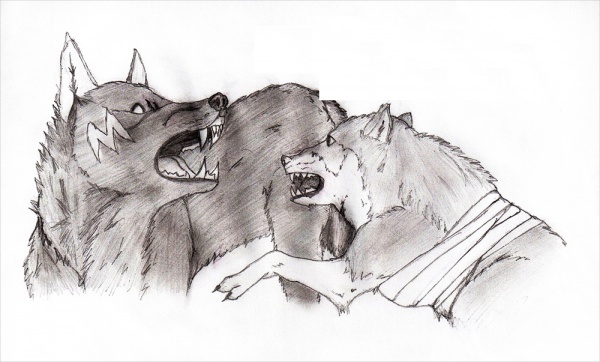 Black And White Wolves Drawing