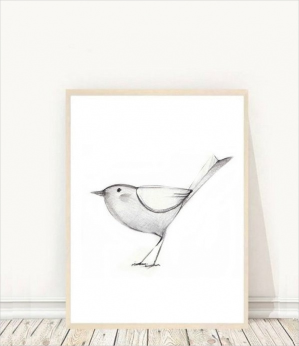 Cute Bird Drawing