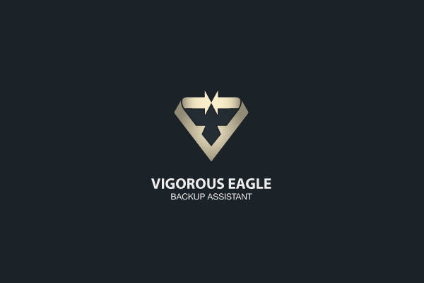 Eagle Shield Logo Design