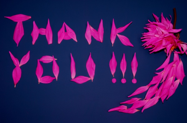 Free Thank You Image