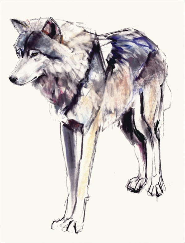 Hexagonal Shaped Wolf Drawing