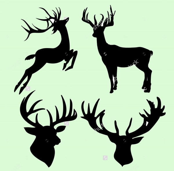 Isolated Deer Silhouette